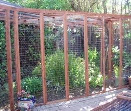 Extra Large Outdoor Cat Enclosure In 