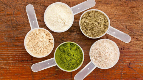 protein powder varieties