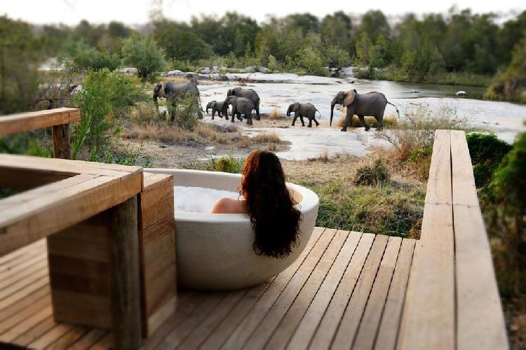 CupAboveTea_South-africa-Londolozi-Granite-rca-2014