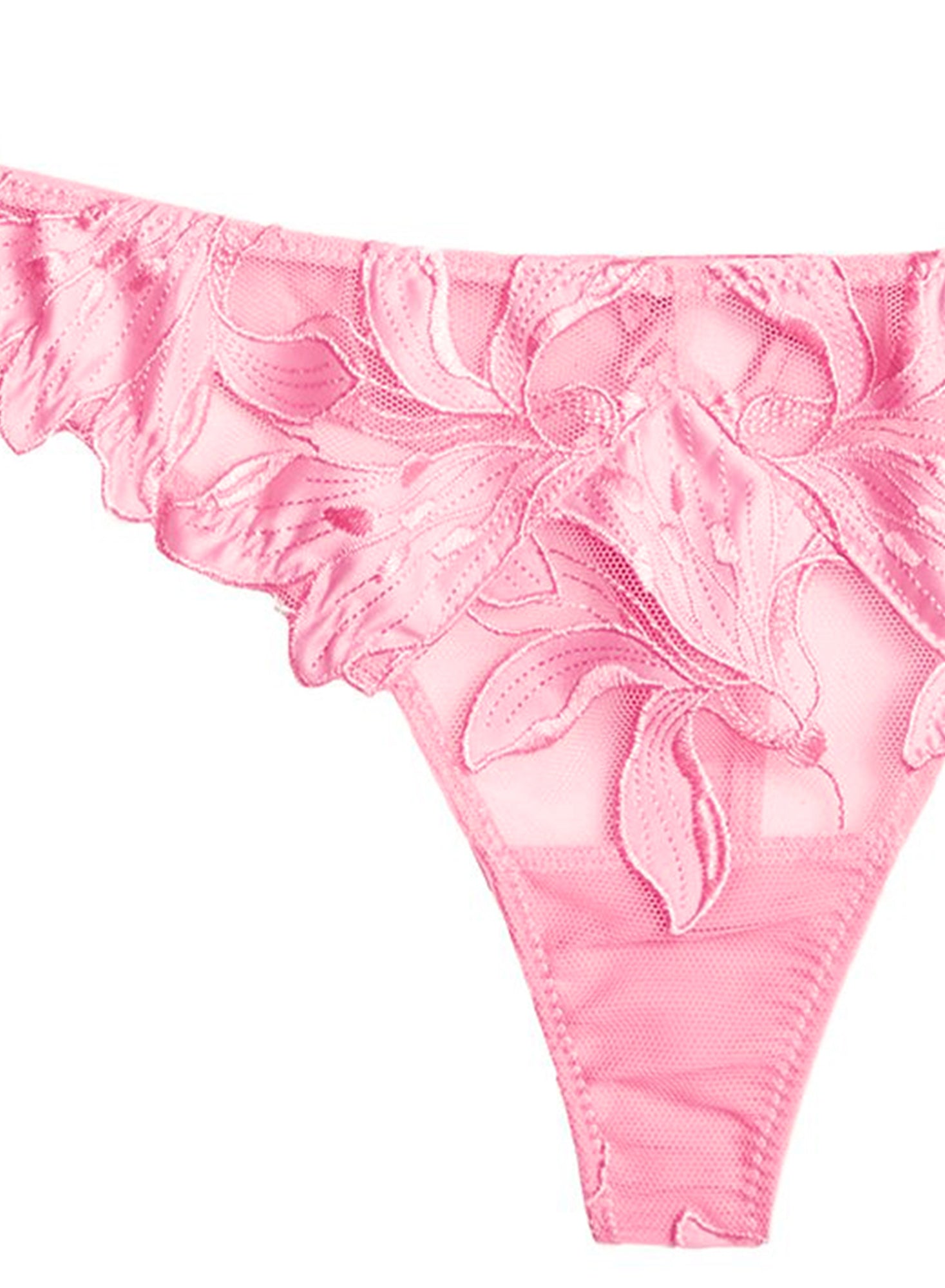 Lily Embroidery Hipster Thong