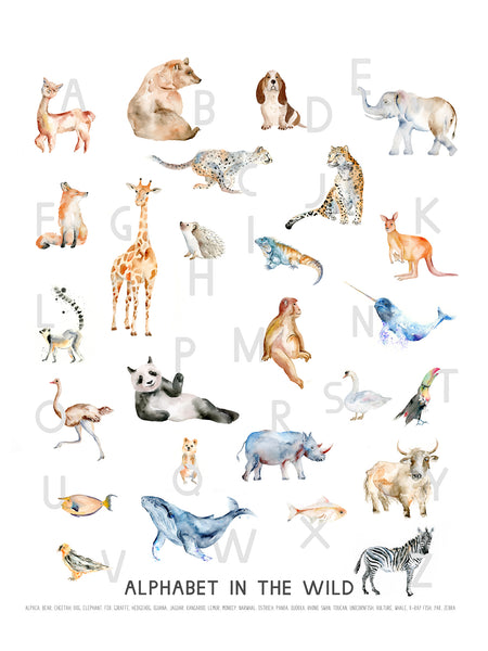 Alphabet in the Wild - Animal Watercolor Art Print – Easy Sunday Club