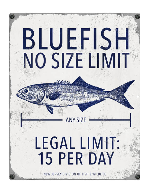 NJ Blue Fish Fishing Regulations Ocean Drive Designs LLC