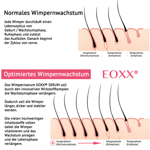 Erfahrung Wimpernserum EOXX SERUM