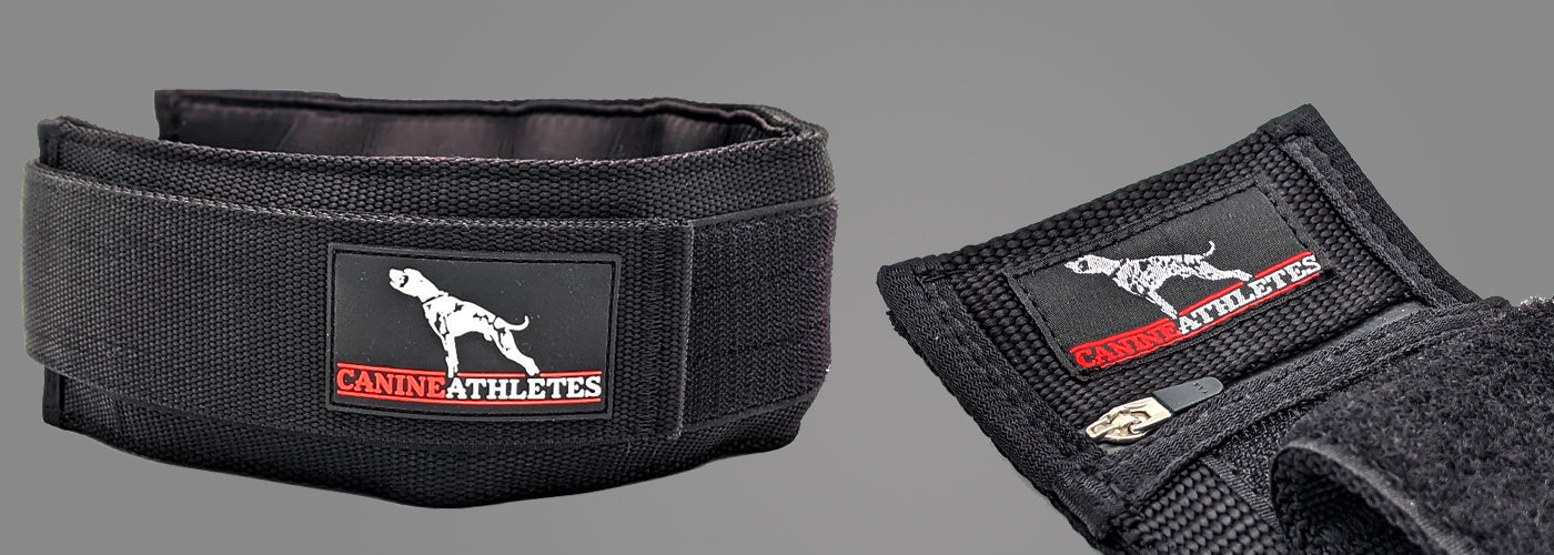 Canine Athletes 3 Elite-HD Weighted Working Dog Collar