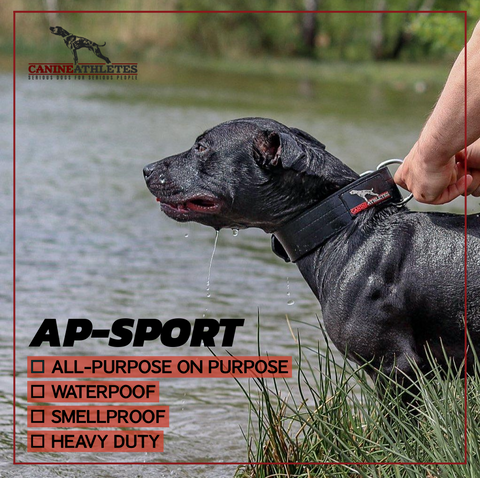 canine-athletes-ap-sport-waterproof-working-dog-collar