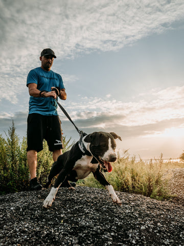 Andy Seguss and Canine Athletes Aldo