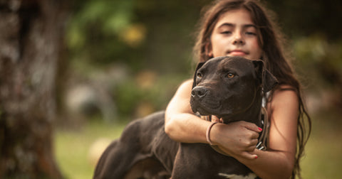 delmanto kennel batman