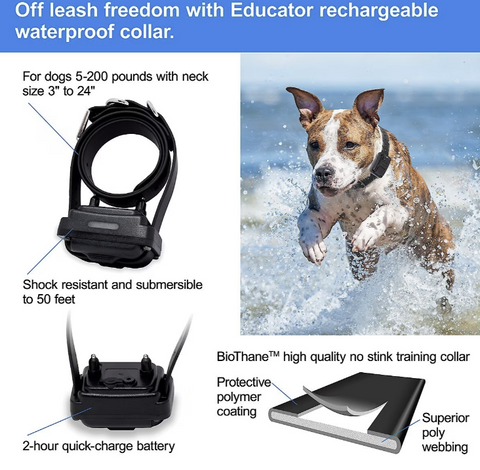 E-Collar Technologies Training Collar