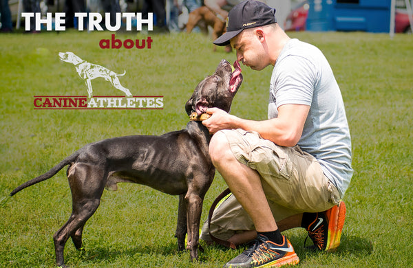 The truth about Canine Athletes