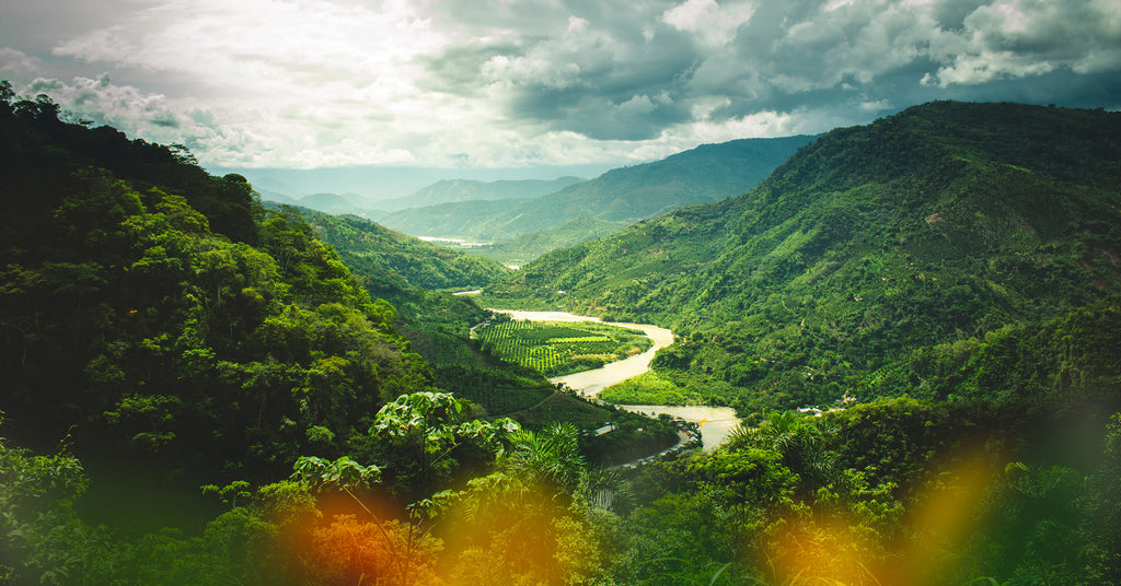 Peru coffee growing region.