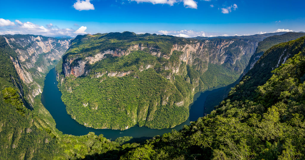 Aerial view of trees and river in Chiapas, Mexico.