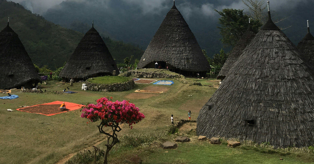 Village where they sort the coffee beans in Flores, Indonesia.