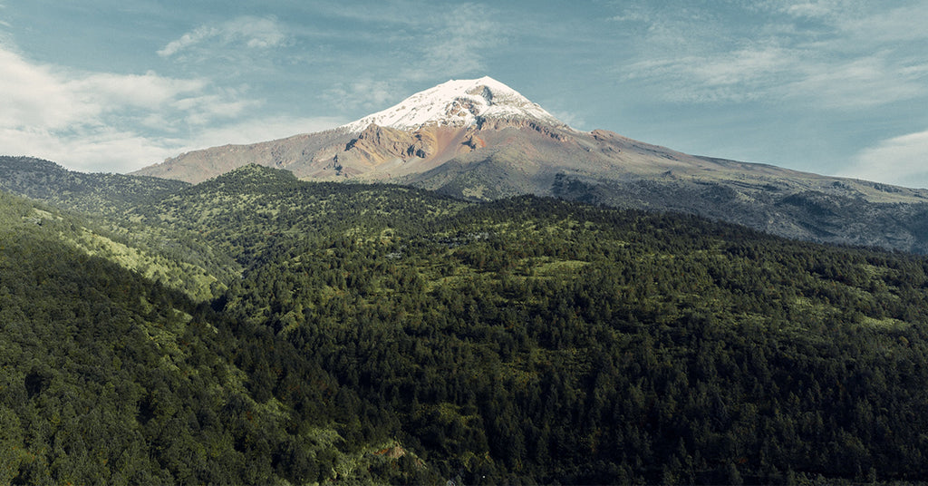 Coffee growing region of Huatusco, Mexico.