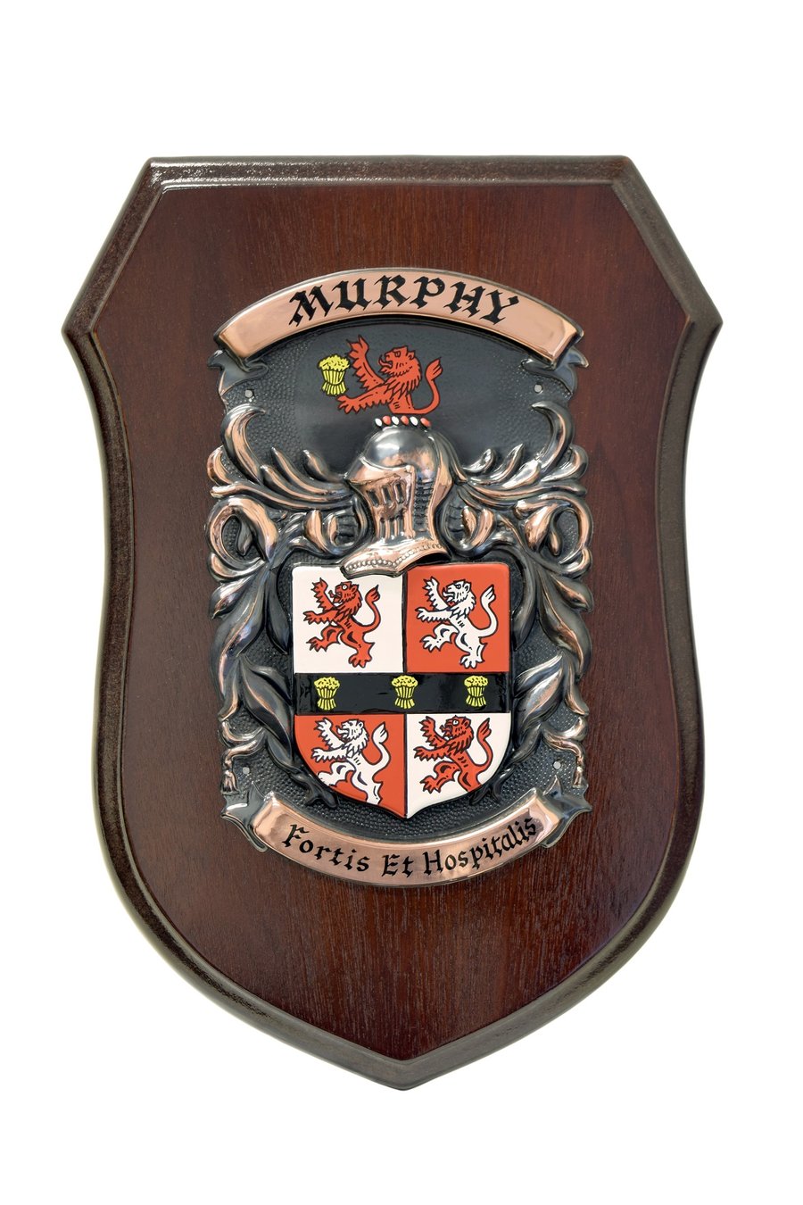 irish family shield plaque