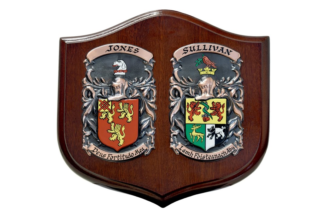 irish coat of arms