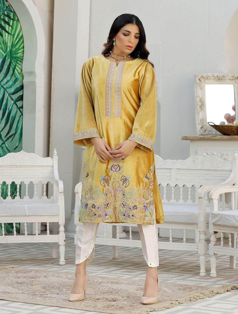 Luxury Embroidered Velvet Pret Kurti ER-142