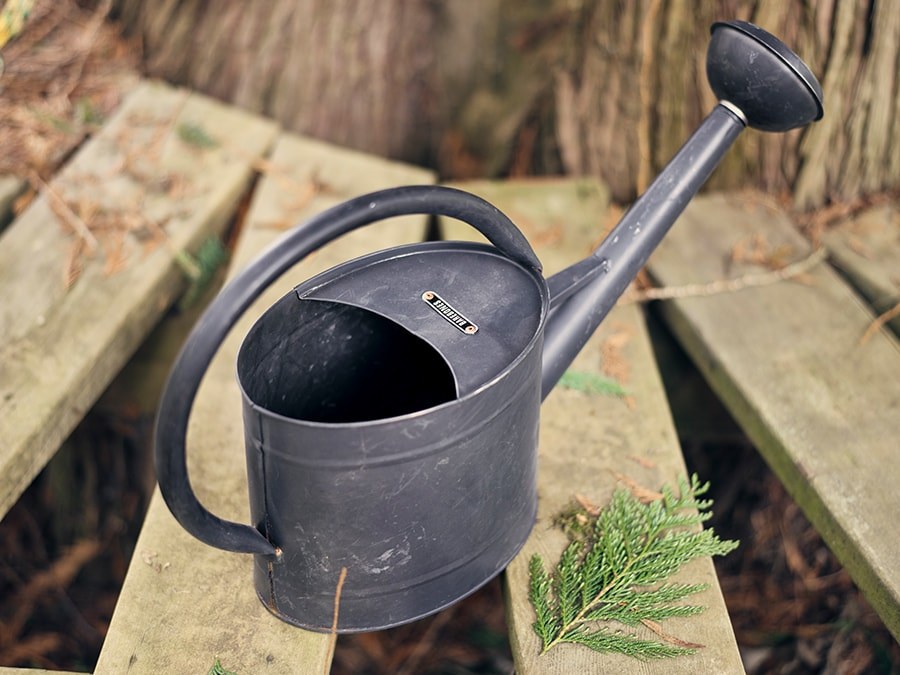 Small Oval Watering Can