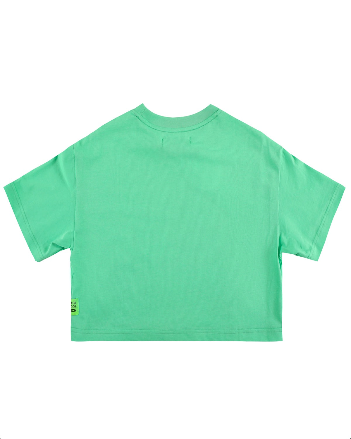 EC Coloring Teddy Bear Cropped T-Shirts / Green