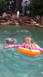 Thank you SWIMTRAINER! Roxy loves kicking around the pool all by herself. "kick kick kick kick kick" she says. I am so excited and happy to report that Roxy is swimming almost completely on her own at age 2. I credit the SWIMTRAINER for her confidence in the water for sure. Thank you so much.