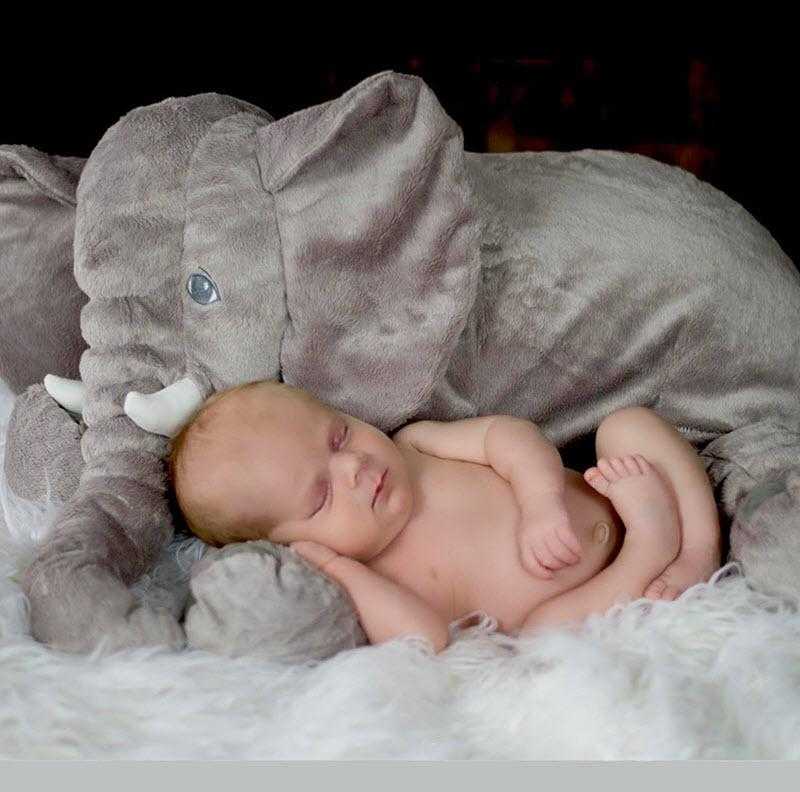 baby sleeping elephant