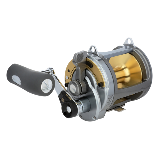 Buy Shimano Tekota 800 Level Wind Overhead Reel online at Marine