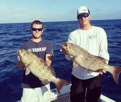 Grouper  Dogfish Tackle & Marine