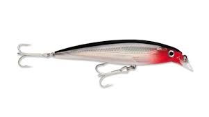 Rapala X-Rap SXR-8  Dogfish Tackle & Marine