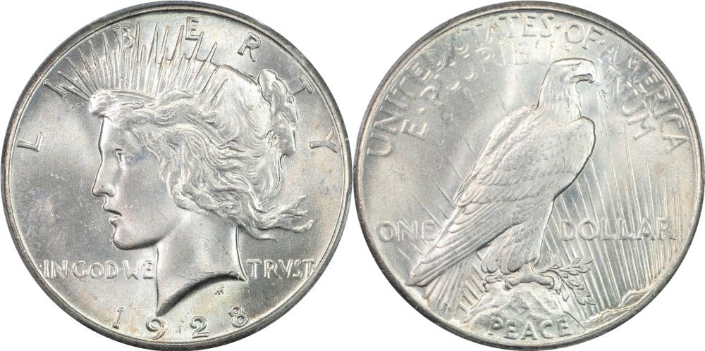 Coin Collecting 101 - The U.S. Peace Dollar - Original Skin Coins