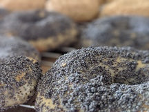 Wikimedia Commons closeup image of several poppyseed bagels