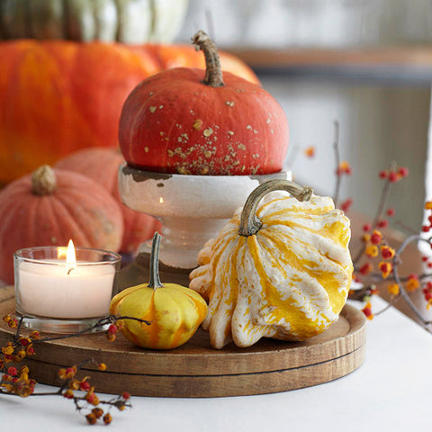 fall mini pumpkins