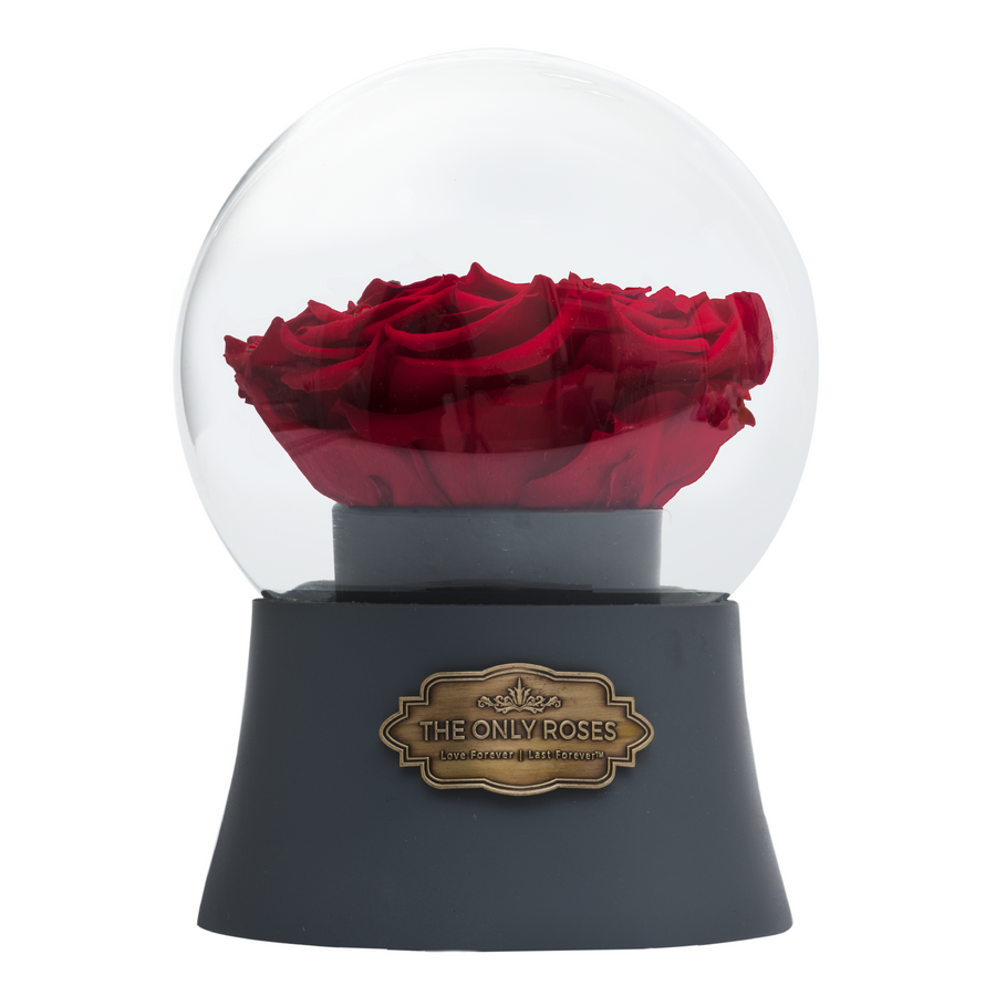 Music Box Rose Easy Elegance