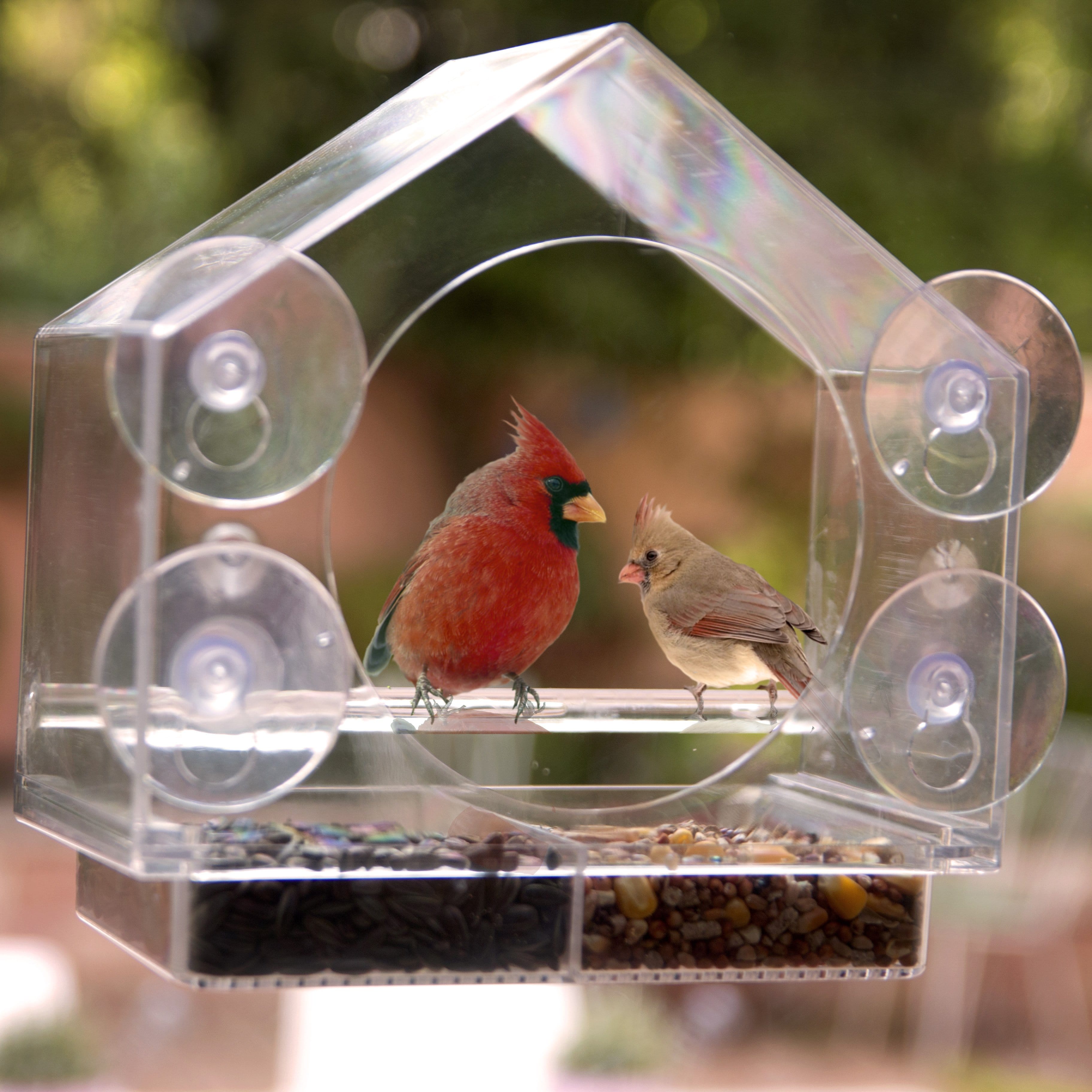 see through window bird feeder