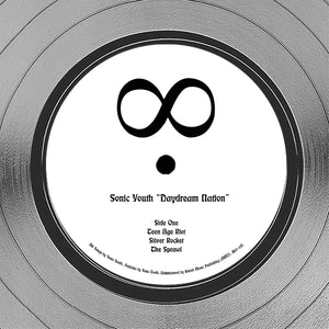 Sonic Youth - Daydream Nation Platinum LP Limited Signature Edition Studio Licensed Custom Frame