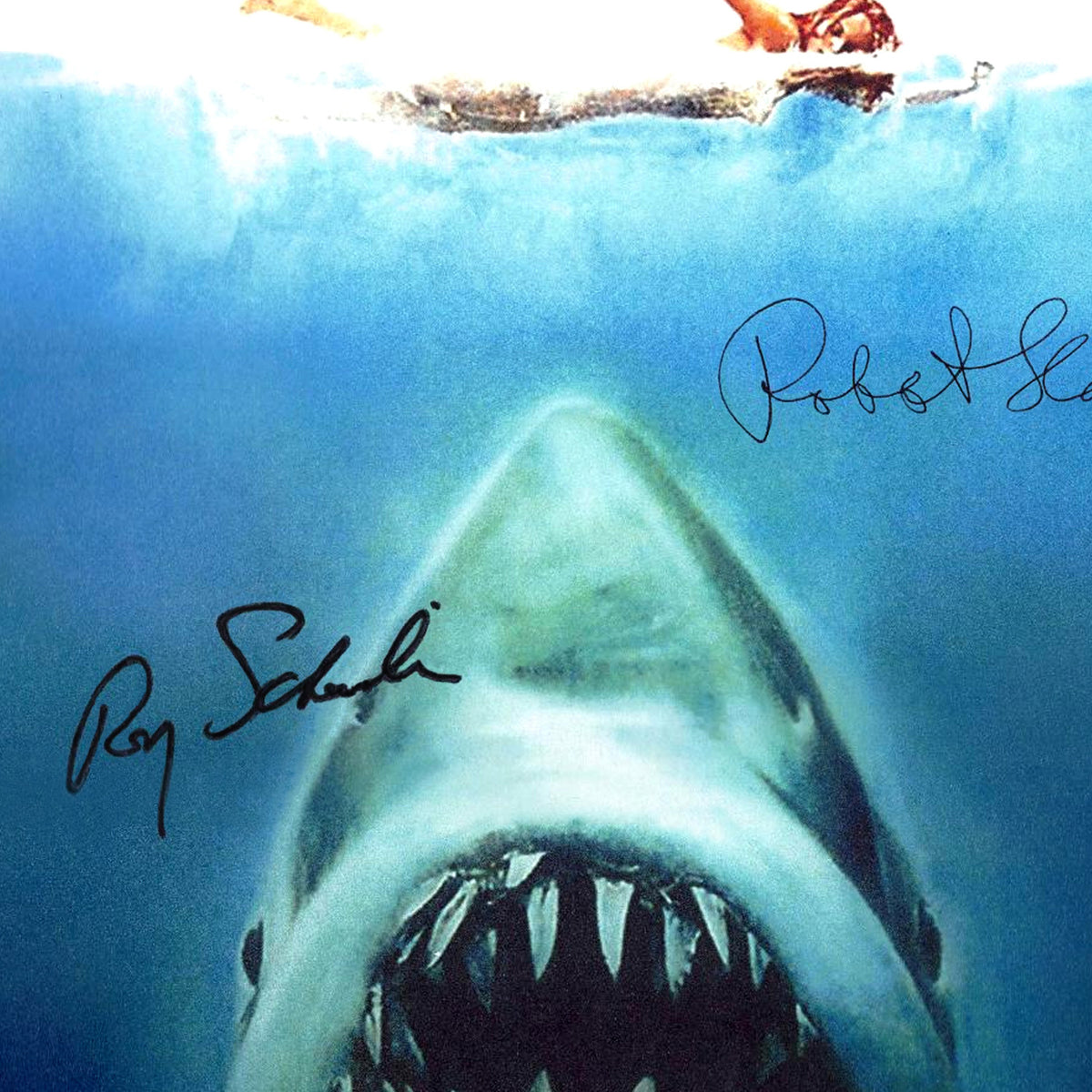 Jaws Movie Script Limited Signature Edition Studio Licensed Custom Fra