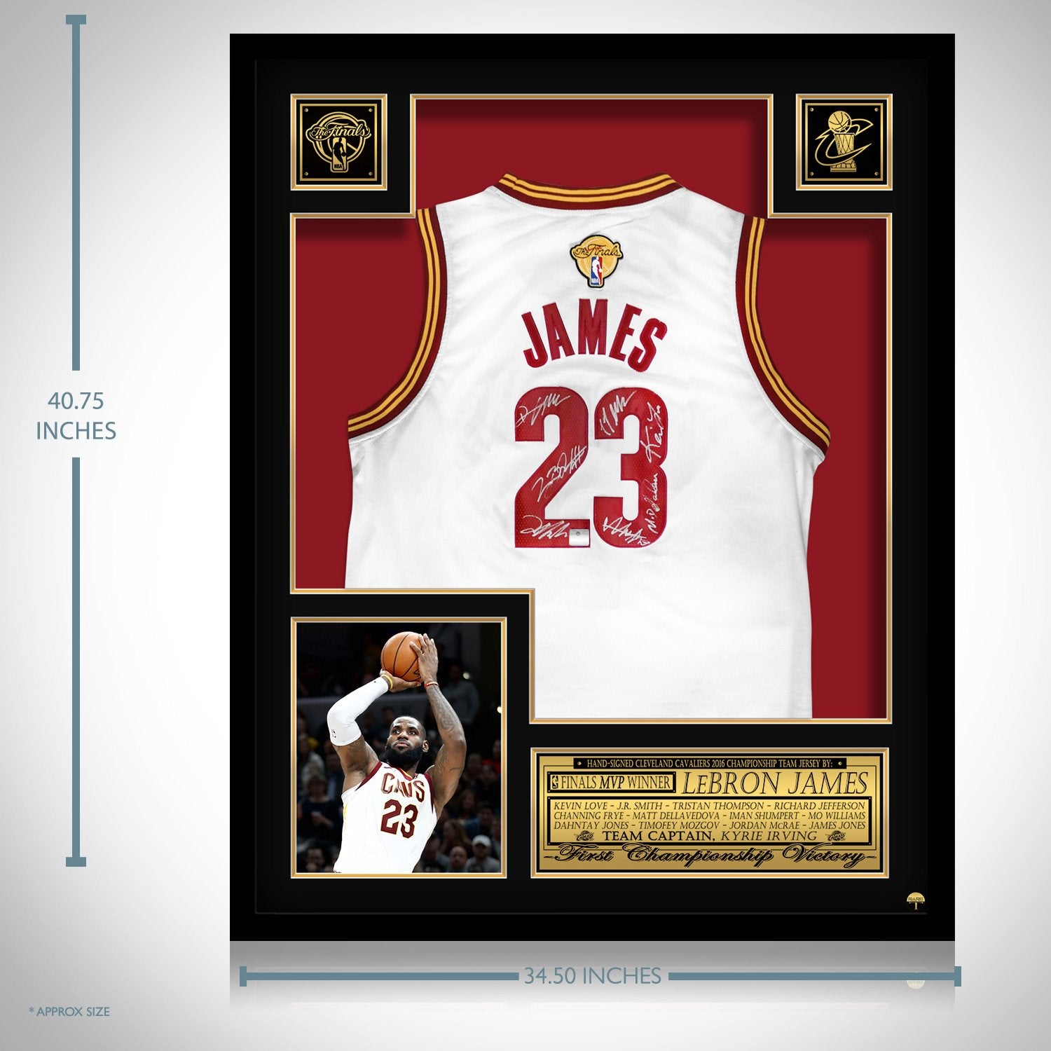 lebron james signed cavs jersey