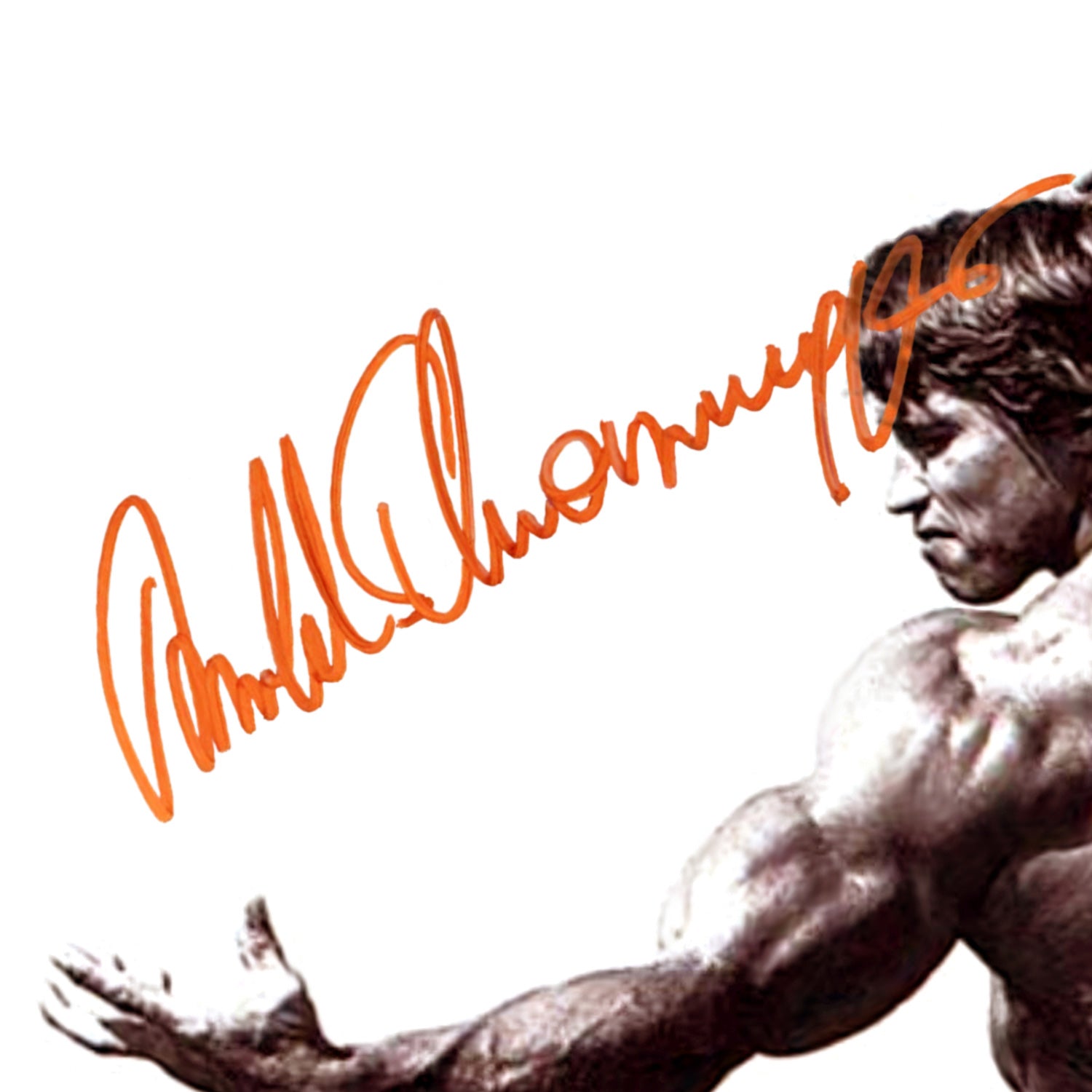 Pumping Iron Arnold Schwarzenegger Famous Pose Photo Limited Signature Rare T