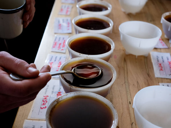 Coffee Cupping: A Step By Step Guide