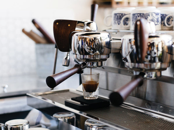 Coffee Shop Equipment You Need To Start a Coffee Shop