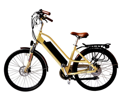 350w electric bike