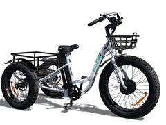 electric tricycles for sale