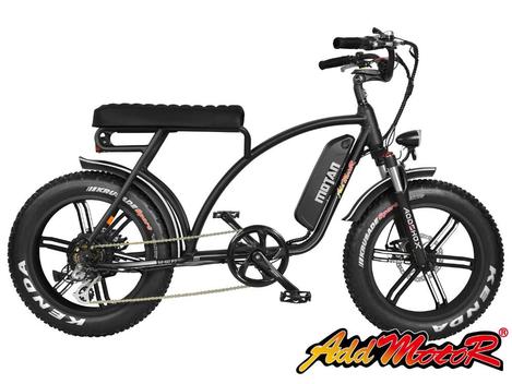 electric beach cruiser fat tire