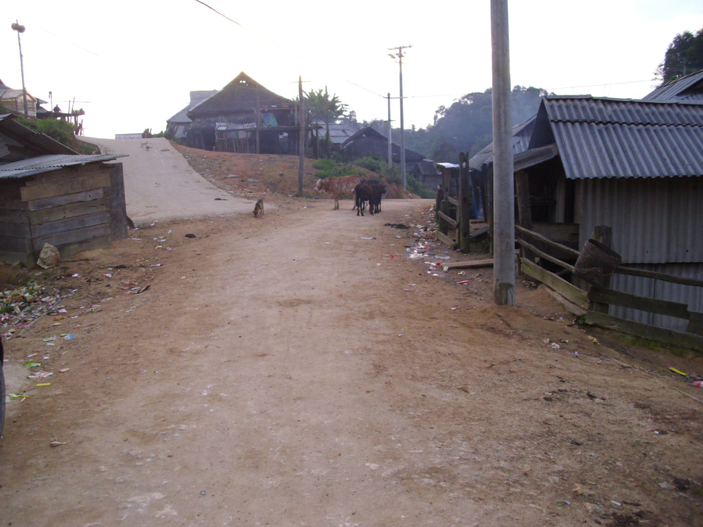 banpen village main road in 2010