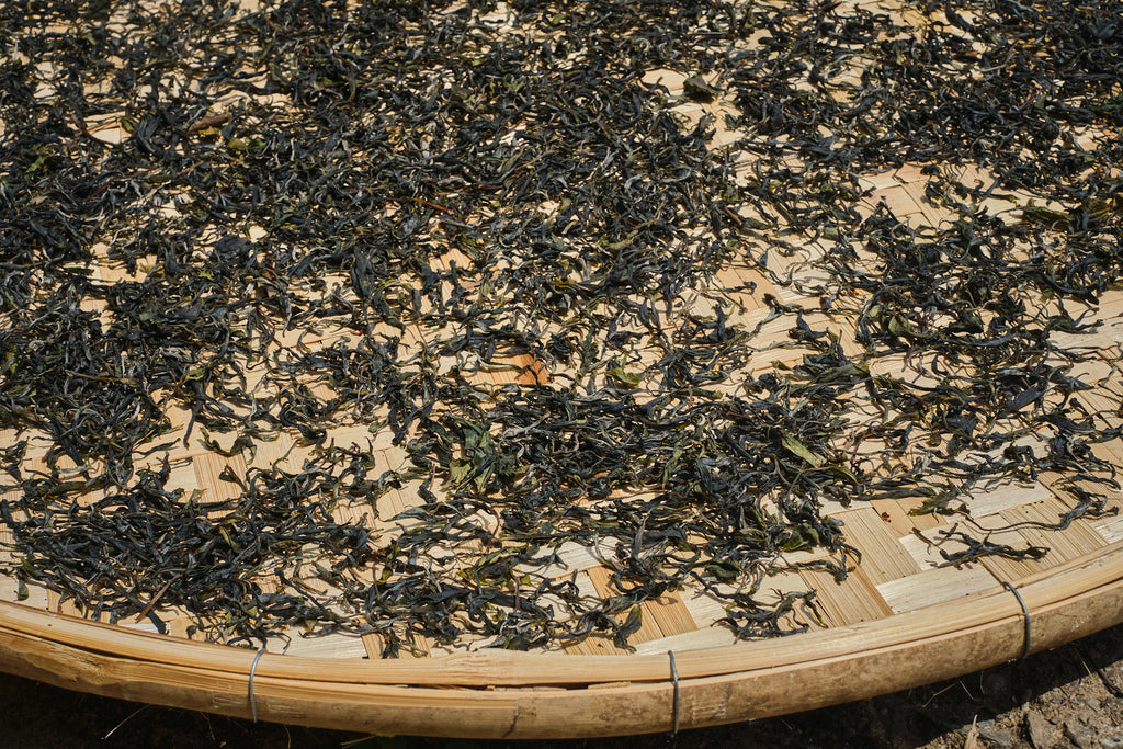 puerh tea leaves drying on a flat bamboo basket