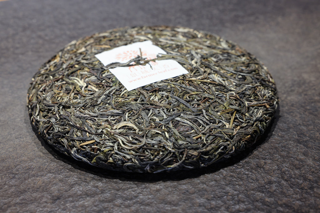 autumn pu-erh tea cake