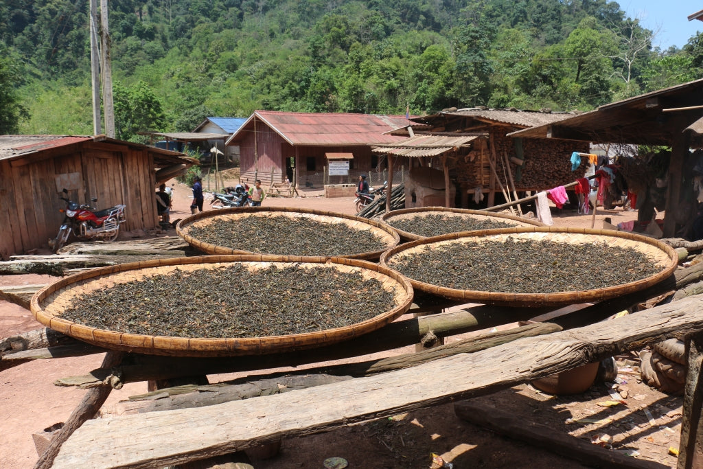 tea drying in bamboo mats