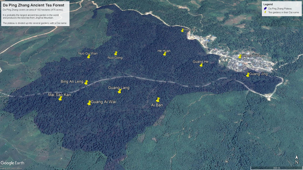 satellite image of da ping zhang ancient tea forest