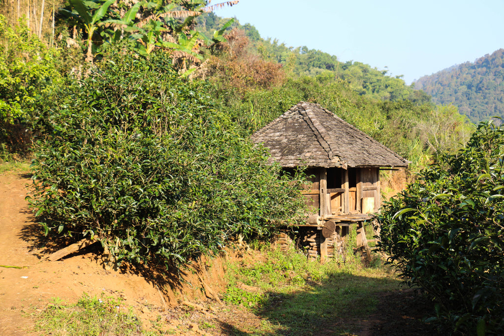 old bulang hut