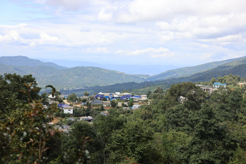 pasha village in yunnan