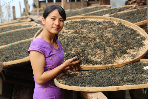 Yubai making tea in Jingmai