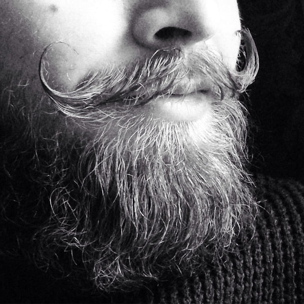 portrait of Handlebar Mustache with Beard